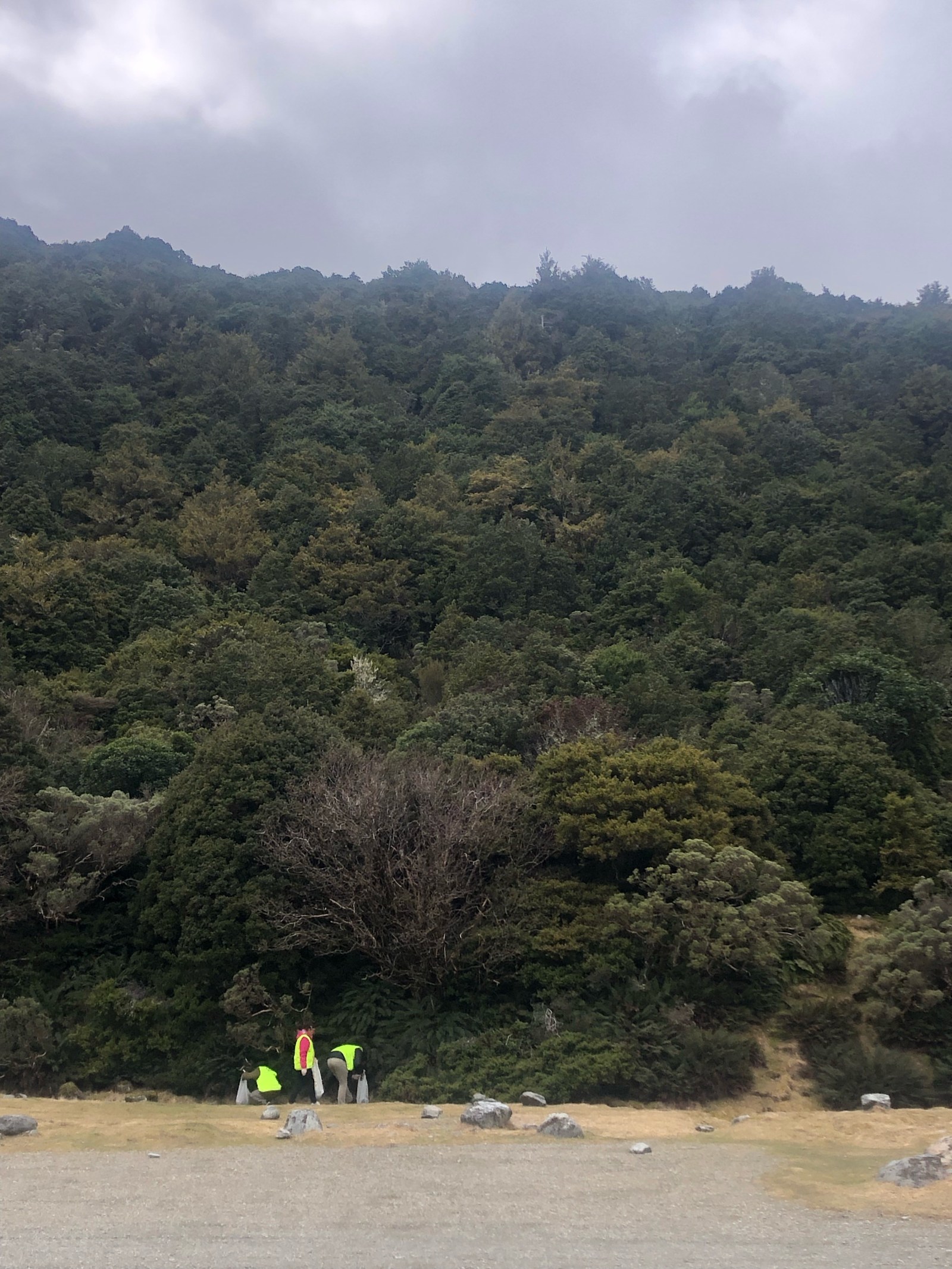 White Horse Campground Clean Up