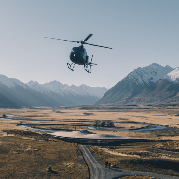 a bird with a mountain in the background