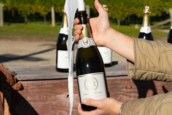 a hand holding a bottle of wine