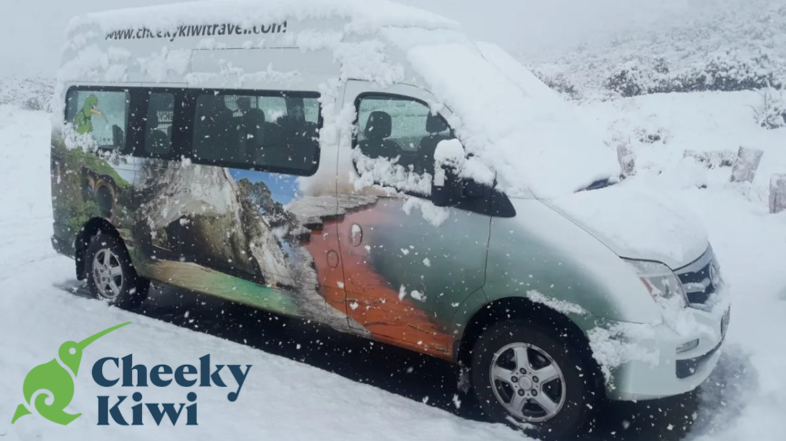 White van with travel graphics covered in snow in a winter landscape.