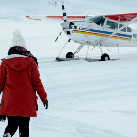Person in red coat approaches small plane on snowy terrain.
